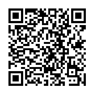 这几个武警守卫的人只是快速地扫了一眼这上面的字迹二维码生成
