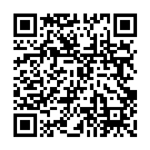 这几个百星罪者的身体暂时是没有任何的问题了二维码生成