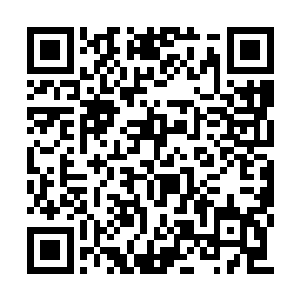 这几人也应是各家带出来应酬的有些头脸的姨娘二维码生成