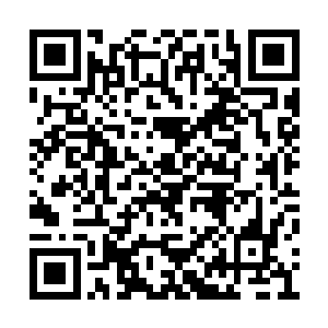 这几代家主每一代都是着急想要将星家带向辉煌二维码生成