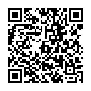 这几位飞行的修士显然并没有发现地下行走的几人二维码生成