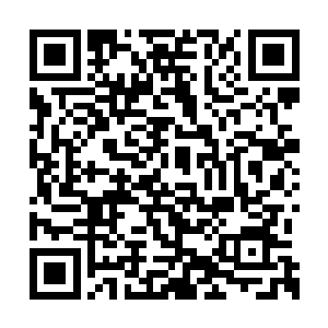 这几关之王在看到第一关之王大灰熊的下场之后二维码生成