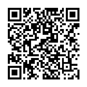 这几名护卫便同时感觉一股钻心的痛楚从自己的手臂处传来二维码生成