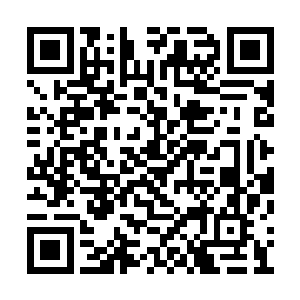 这几天在处理几只貌似和幕后黑手有关的小老鼠二维码生成