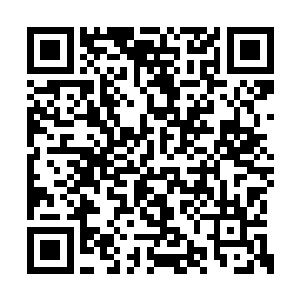 这几天姬寒少爷和归田老人都跟随殿主去了外面二维码生成