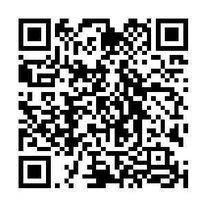 这几天我被我们家跹跹感动的恨不得觉得全世界就没坏人二维码生成