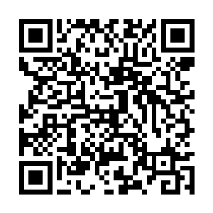 这几天我都在新月草原与野狼山谷的交接地带游荡二维码生成