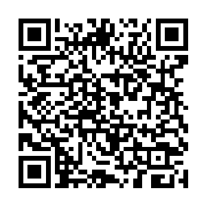 这几天指挥使衙门里都在说刘夫人因儿子大了不学好二维码生成