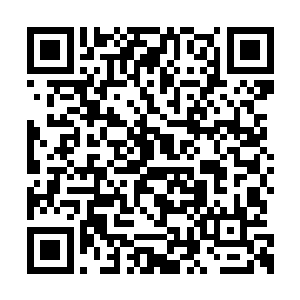 这几天统领者在不断争论到底要拿猿人们怎么办二维码生成