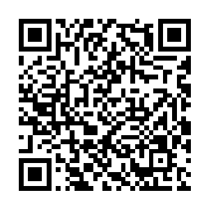这几天苏念白大概是为了避嫌都没有和我住在一起二维码生成