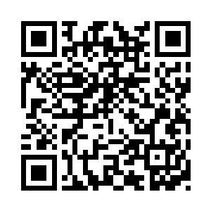 这几天苏念白还是一如既往的看不到人影二维码生成