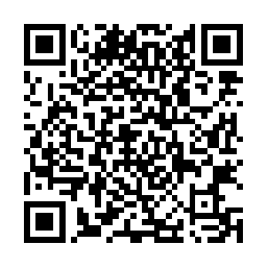 这几年的时间内可以说是许德拉过得最为舒心的日子了二维码生成