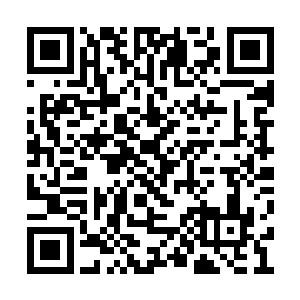 这几日城外的孙军斥候夜里都会在四处城郭游走二维码生成