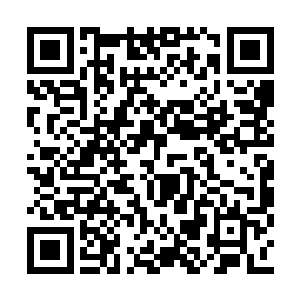 这几日大地族修士专门找双雄仙城内人族的麻烦二维码生成