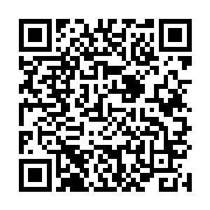 这几株云罗茶树加起来都抵不上这一株灵药的一片叶子二维码生成