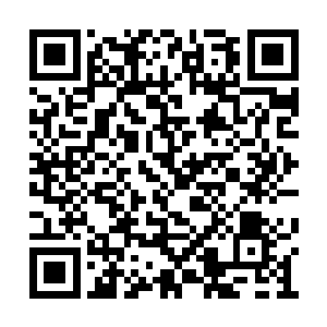 这几片的田的泥鳅几乎被李奇和马桥给挖干净了二维码生成