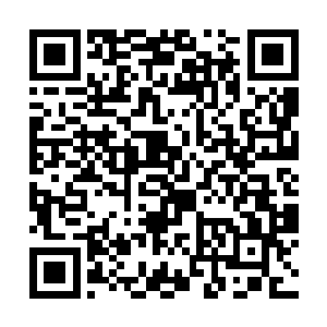 这几颗丹药可以保你们一个月内不受万虫噬心的痛苦二维码生成