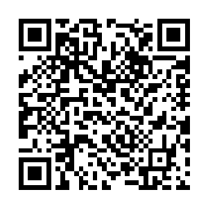 这几颗光明神丹虽然远远无法治愈剑尘身上的伤势二维码生成