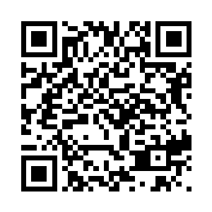 这分明是无数白色飞蛾形成的一个空间二维码生成