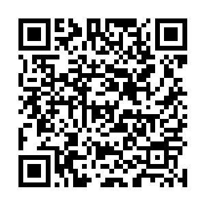 这刚刚晋级天道境的碧蓝神兽只能是用身体消耗来抵抗二维码生成
