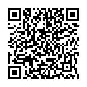 这刚才叫嚣最凶狠的不知名妖族就给打成了虚体二维码生成