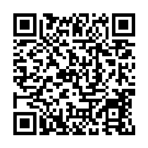 这创世神雷可是跟灭世天火属于同一级别的力量二维码生成