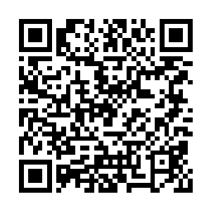 这到底是…你打算吸收这团扭曲的至阳至阴之力二维码生成