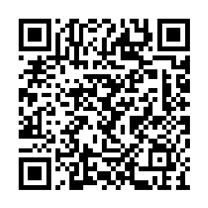 这剑柄和他在九界山主神殿看到的剑柄一模一样二维码生成