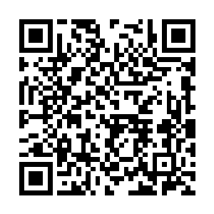 这副画卷定是从天南域第一情报机构十二楼传出的二维码生成