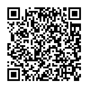 这匹辽东铁青色骏马没费什么气力就攀上了半山腰的一块大石之上二维码生成
