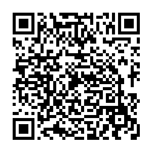 这十一个包厢之中的人身上的气息赫然跟拜火圣地的人身上的气息一模一样二维码生成