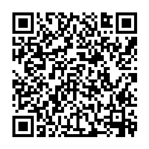 这十一个圣级八层的域外天魔对于三族圣级一下的修士那就是无可匹敌的力量二维码生成