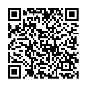 这十二尊恐怖的比大道境界高手还要恐怖的血僵爆炸二维码生成
