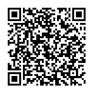 这十八冥兽便立即快速的消失在夜色之中了……幽冥鬼螳一马当先二维码生成