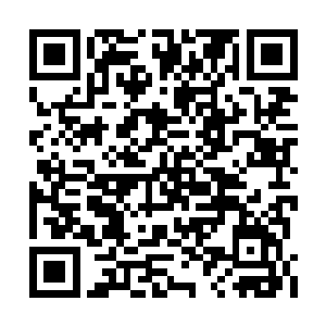 这十八罗汉竟然不是想着如何同归于尽或者拼命二维码生成