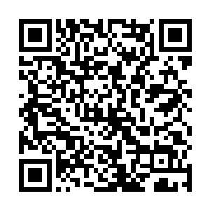 这十六字的预言之前在修罗之塔她有听张百万张伯说过二维码生成