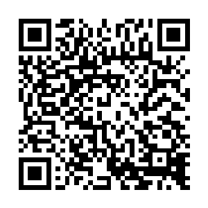 这十几个保安能站在姜美玲身后跟对方二十几个混混对峙二维码生成