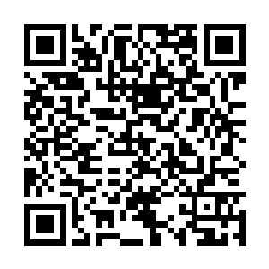 这十几种万年灵药化成的各种五颜六色的灵药精华二维码生成