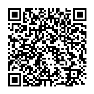 这十四名问道大能齐聚一殿却是因为从道魂大陆上传来的一则消息二维码生成