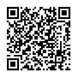 这十大亲传弟子彼此间却又因争夺残破洞天归属权二维码生成