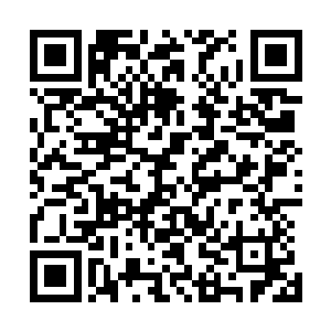 这十年的仙战令大殿内这些修士都有了一种脱胎换骨的气息二维码生成