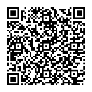 这半个多月的时间在没有龙傲天出手帮忙的前提下达到零伤亡已经十分的不容易了二维码生成