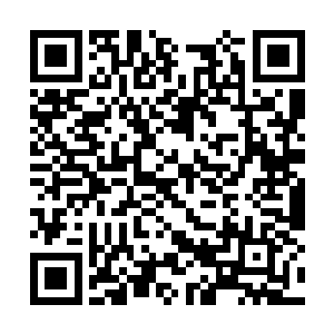 这半天里他真的是见识到了夏天的枪法和反应速度二维码生成