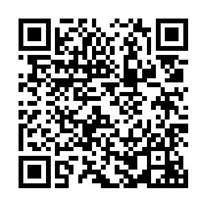 这华夏猪竟然敢在我棒槌国的土地上对我的人动手动脚二维码生成