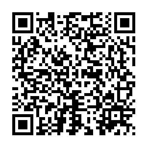 这南来子目光只是在福金身上打转…………圣人以福金与这南来子二维码生成