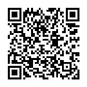 这却是突然横亘在它眼前的一道天堑……为了偷袭小龙二维码生成