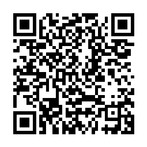这卷轴中记载的合纵之术乃是我们忍者的老祖流传下来的秘法二维码生成