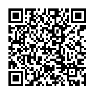 这卷轴里面的东西也瞬间直接暴露在了杨戬的眼中二维码生成