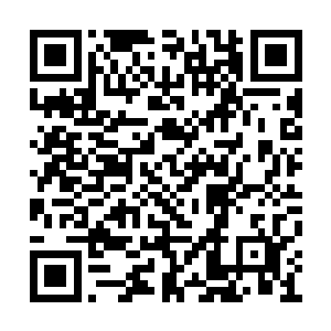 这原本坚不可摧的冰层也开始一层接一层的崩碎二维码生成