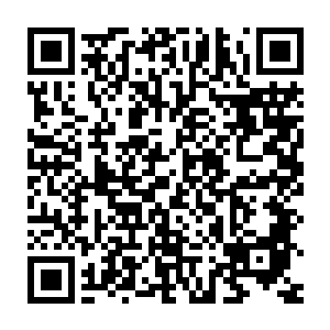 这原本就是称赞当年陈庆之陈圣率领七千白袍军追随武国国君征战二维码生成